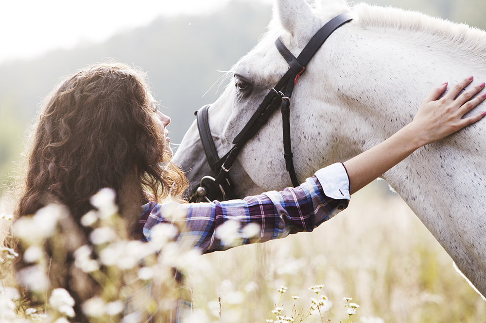 The power of equine therapy