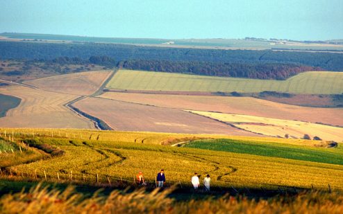 Walking holiday in Brighton’s South Downs