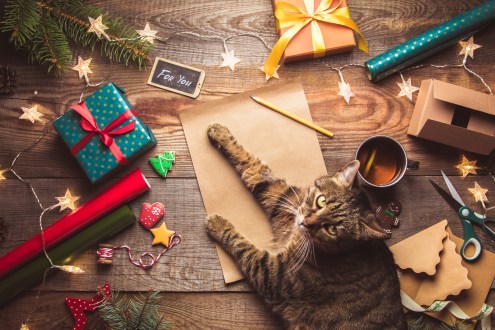 Five prompts to help you prepare for the Festive Season and beyond