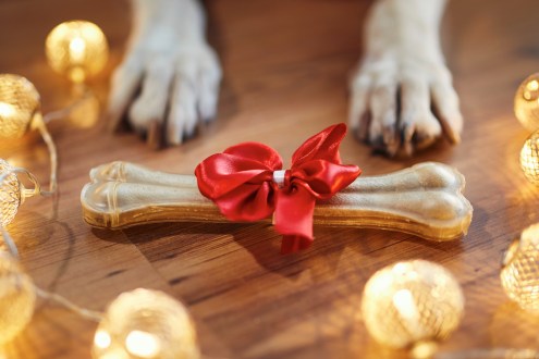 How will you express your generosity this Christmas?Â