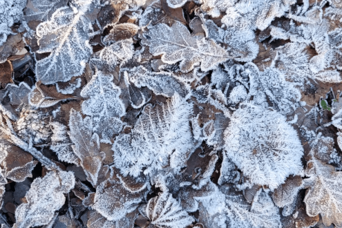 How to Winter Well