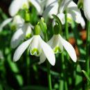 Embracing Renewal and Growth This Spring