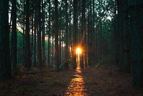 Stop Scattering Your Energy: How to Reclaim Focus and Thrive