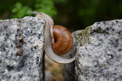 What are Your (Perceived) Limitations?