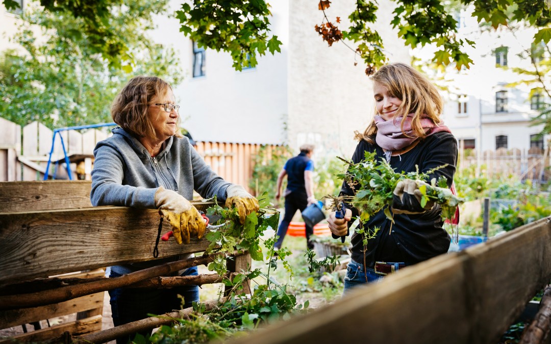 What is permaculture?