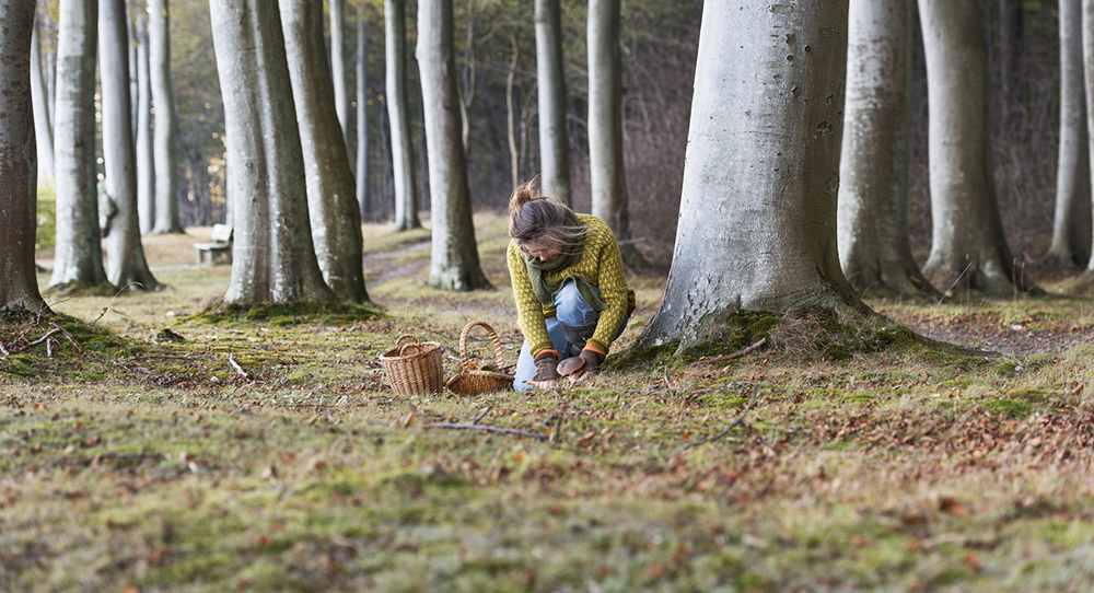 How to reconnect with nature