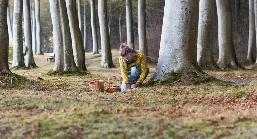 How to reconnect with nature